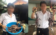 Tàn ác với thiên nhiên
