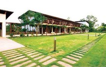 Hà Nội tạm dừng cưỡng chế 18 công trình vi phạm đất rừng Sóc Sơn trong tháng 11