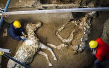 Bí ẩn ngựa đá từng có sự sống trong hầm mộ 2.000 năm