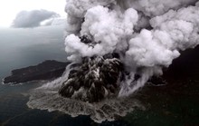 Năm của núi lửa