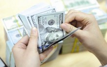 Quy định mới cho vay bằng ngoại tệ của tổ chức tín dụng có hiệu lực từ 1-1-2019