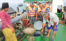 Cảnh sát biển vùng 4 lại lập công