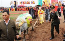 3 trâu đoạt giải trang trí vinh dự cày ruộng trong lễ hội Tịch Điền