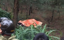 Người đàn ông Hàn Quốc tử vong bí ẩn ở rừng phi lao