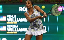 Halep và Venus Williams thẳng tiến vào tứ kết