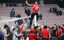 Thắng giao hữu, fan Tunisia ăn mừng như thể vô địch