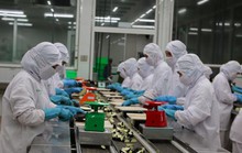 TP HCM có mức lương trung bình cao nhất cả nước
