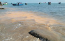 Vết nước lạ ở biển Quảng Bình là do xác vi sinh vật phân hủy