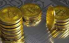 Giá Bitcoin chững lại, tương lai đen tối từ tiền ảo
