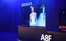 Sony công bố TV BRAVIA OLED và 4K HDR mới