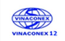 Vinaconex 12 mắc sai phạm về tài chính