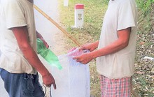 Theo rái cá đi săn cá trên sông Đakrông