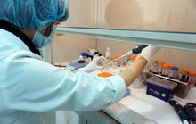 Việt Nam sản xuất vắc-xin ngừa cúm mùa 3 trong 1 rẻ 1/3 giá nhập