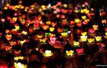 Hàng ngàn người dân TP HCM thả hoa đăng mừng Lễ Phật đản