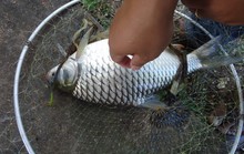 Thiếu niên tử vong nghi vợt cá bị điện giật