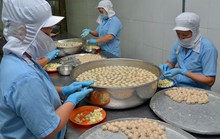 Cần hỗ trợ vốn cho doanh nghiệp mới thành lập