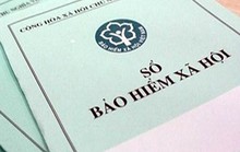 Xử phạt doanh nghiệp vi phạm chính sách BHXH hơn 11,24 tỉ đồng
