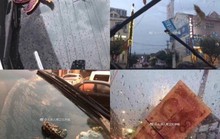 “Mưa” bạch tuộc, sao biển và tôm ở Trung Quốc