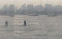Đi họp kiểu Mỹ