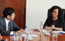 Mozambique muốn Viettel đẩy mạnh đầu tư mạng 4G và Việt Nam đầu tư GTVT
