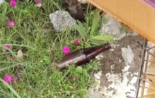 Dùng vỏ chai bia đâm chết người vì nói chuyện lớn tiếng