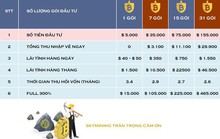 Sập bẫy lừa tiền ảo