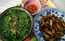 Cá lòng tong kho tiêu - món ngon gợi nhớ quê nhà