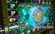 Làm rõ máy casino có dán tem kiểm định của Sở VH-TT-DL Bạc Liêu