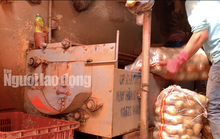 VIDEO: Vạch mặt chiêu trò phù phép nông sản Trung Quốc nhái Đà Lạt