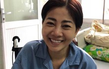 Đàm Vĩnh Hưng, Lệ Quyên tổ chức đêm nhạc hỗ trợ Mai Phương