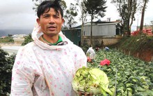 ĐIỀU TRA: Nông sản Trung Quốc nhái - nỗi đau của nông dân Đà Lạt