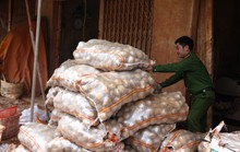 Liên tiếp phát hiện các điểm hóa kiếp nông sản Trung Quốc thành Đà Lạt