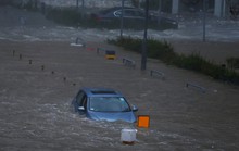 [Clip] - Bão Mangkhut xô nghiêng nhà cửa, người già ở Hồng Kông quyết không sơ tán
