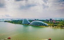 KHI GIỚI NHÀ GIÀU ĐI TRỐN: Kỳ nghỉ dưỡng bất thường