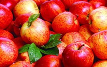 4 loại rau quả là vua thải độc và trẻ hóa nên ăn