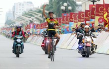 Van der Pijl xé áo vàng
