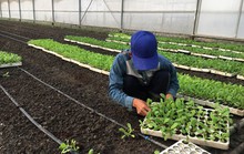 Gian nan tìm đất làm nông nghiệp sạch