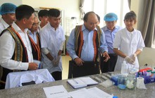Đưa sâm Ngọc Linh từ quốc bảo trở thành quốc kế