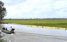 Nông dân ĐBSCL trắng đêm lo vỡ đê