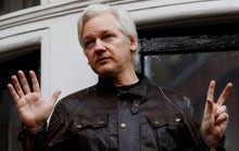 Ecuador và Assange: Bỏ thì thương, vương thì tội?