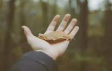 Mảnh đất phá tình người ở Hậu Giang…