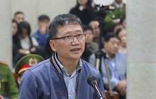 Luật sư nêu vụ Hoa hậu Phương Nga để bào chữa cho Trịnh Xuân Thanh