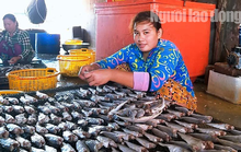 Lý do thu nhập “khủng” dịp Tết ở làng khô Cái Đôi Vàm