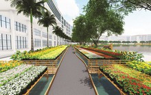 Hội chợ hoa Xuân Phú Mỹ Hưng 2019: Hoa về trên phố thị