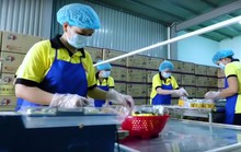 Trung Quốc săn doanh nghiệp Việt