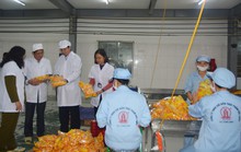 Nhân viên công ty sản xuất đồ chơi nhập viện hàng loạt sau tiệc liên hoan