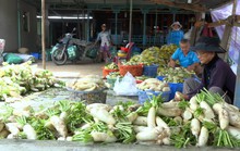 Bí quyết giòn, ngon của làng nghề dưa cải Tết lớn nhất miền Tây