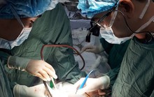 Hy hữu người đàn ông bị thanh gỗ đập vỡ tim