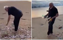 Thủ tướng Ấn Độ không ngại nhặt rác 30 phút trên bãi biển
