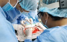 Cảm động người chồng trẻ cho thận để cứu vợ
